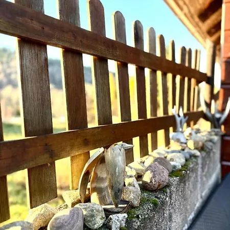 Spokojna - W Gorach Izerskich, Czerniawa-zdroj Appartement *